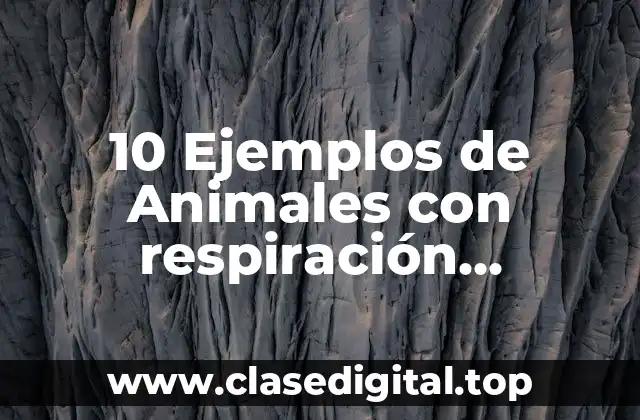 10 Ejemplos de Animales con respiración bronquial