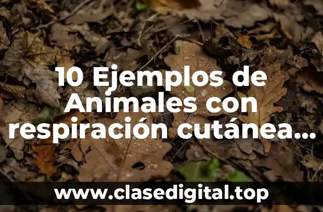 Ejemplos de animales con respiración cutánea, traqueal, branquial y pulmonar