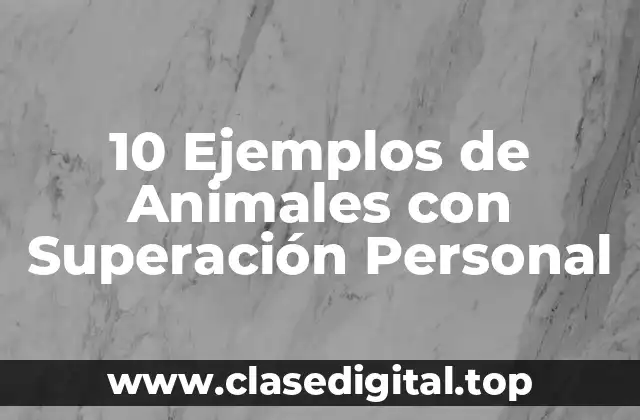 10 Ejemplos de Animales con Superación Personal