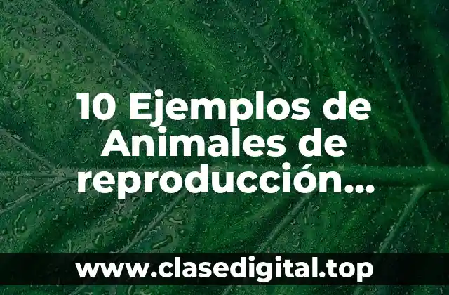 10 Ejemplos de Animales de reproducción asexual