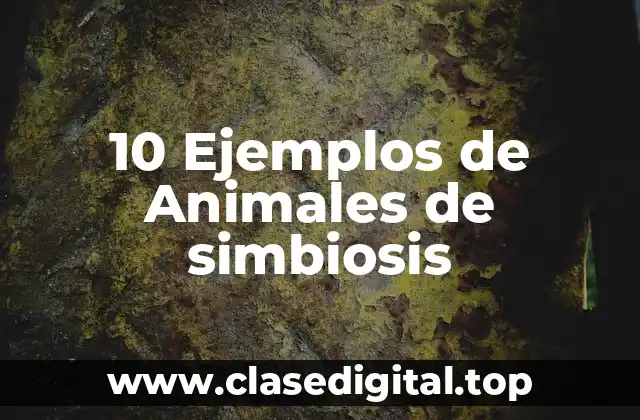 10 Ejemplos de Animales de simbiosis