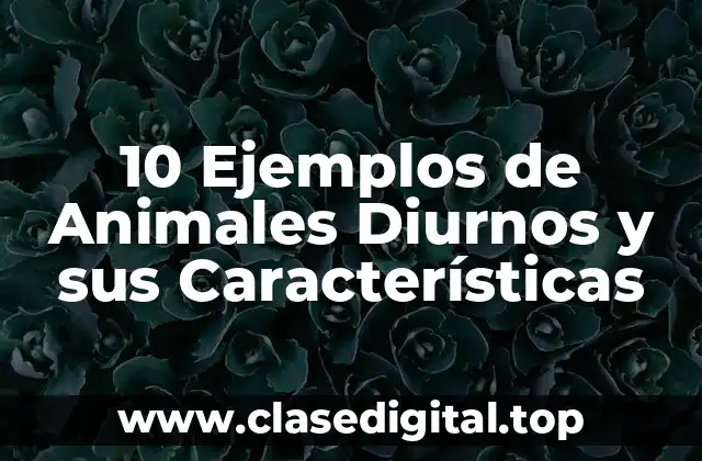 10 Ejemplos de Animales Diurnos y sus Características