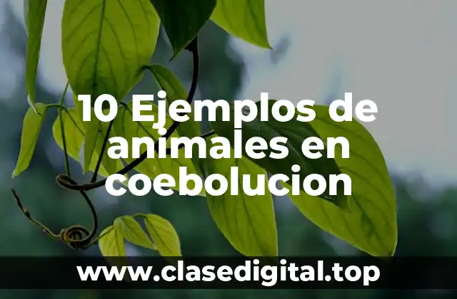 10 Ejemplos de animales en coebolucion