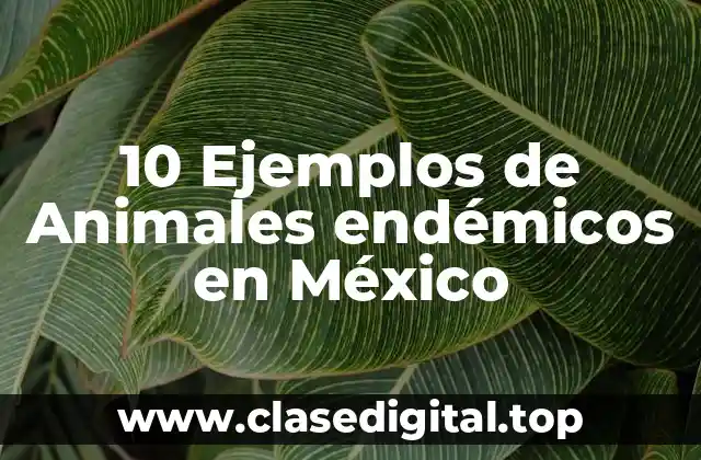 10 Ejemplos de Animales endémicos en México