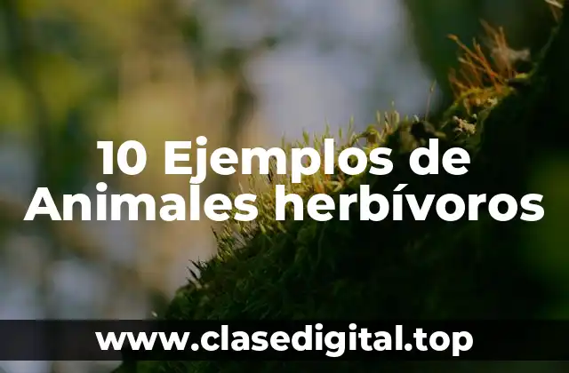 10 Ejemplos de Animales herbívoros