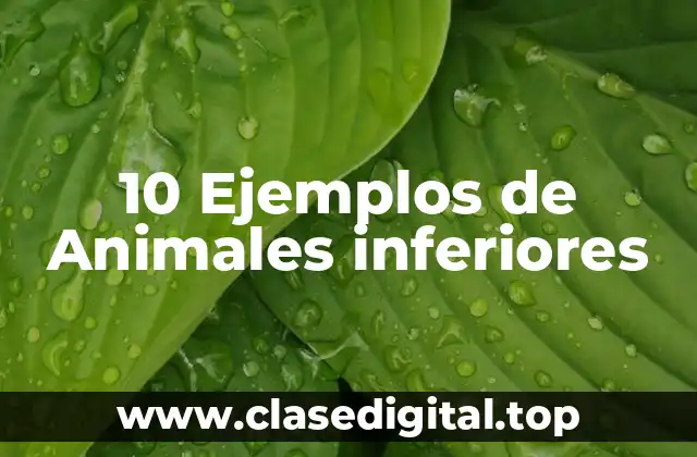 Ejemplos de animales inferiores