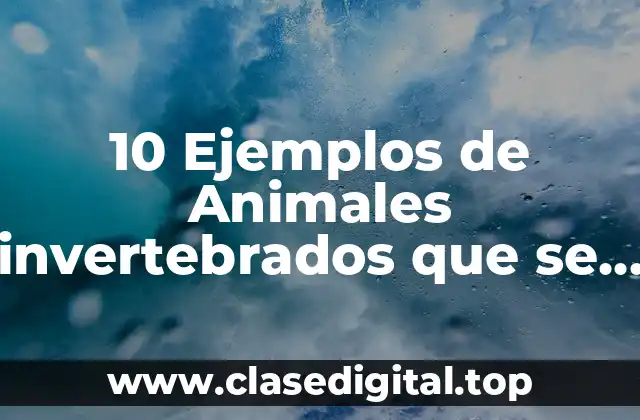 10 Ejemplos de Animales invertebrados que se reproducen asexualmente