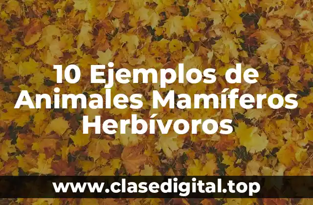10 Ejemplos de Animales Mamíferos Herbívoros