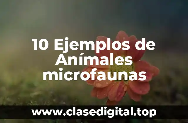 10 Ejemplos de Anímales microfaunas