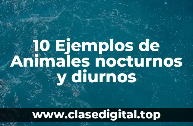 10 Ejemplos de Animales nocturnos y diurnos