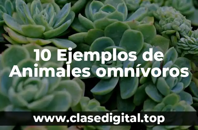 10 Ejemplos de Animales omnívoros
