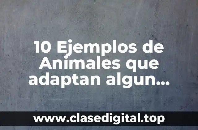 10 Ejemplos de Animales que adaptan algun órgano