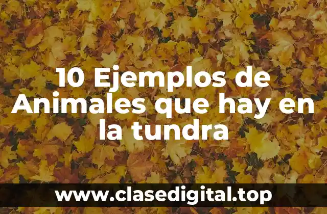 10 Ejemplos de Animales que hay en la tundra