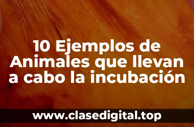 10 Ejemplos de Animales que llevan a cabo la incubación