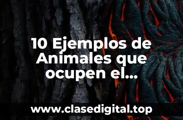 10 Ejemplos de Animales que ocupen el metabolismo