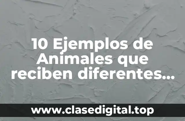 10 Ejemplos de Animales que reciben diferentes nombres