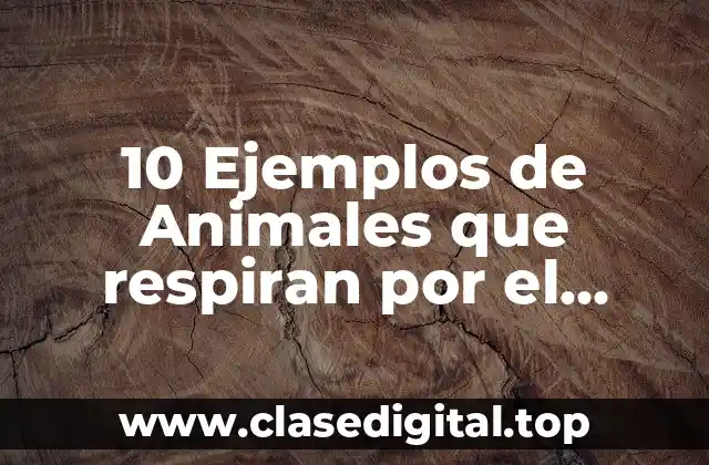 10 Ejemplos de Animales que respiran por el pulmón