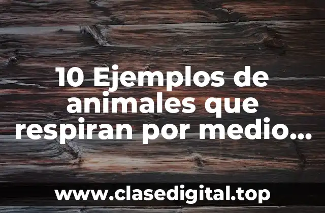 10 Ejemplos de animales que respiran por medio de estomas