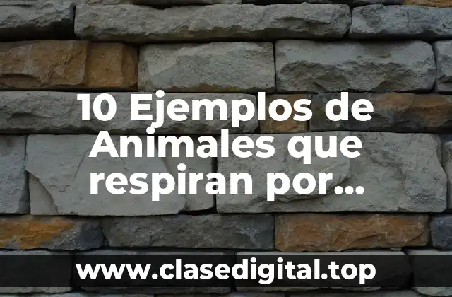10 Ejemplos de Animales que respiran por pulmones