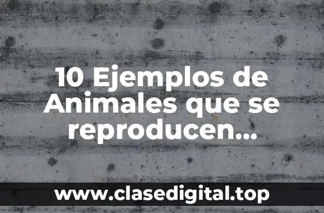 10 Ejemplos de Animales que se reproducen asexualmente