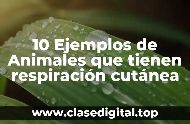 10 Ejemplos de Animales que tienen respiración cutánea