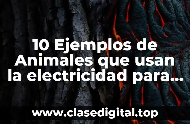 10 Ejemplos de Animales que usan la electricidad para capturar