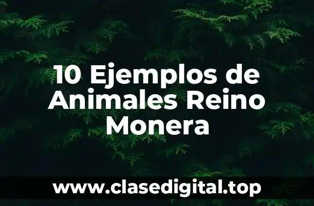 10 Ejemplos de Animales Reino Monera