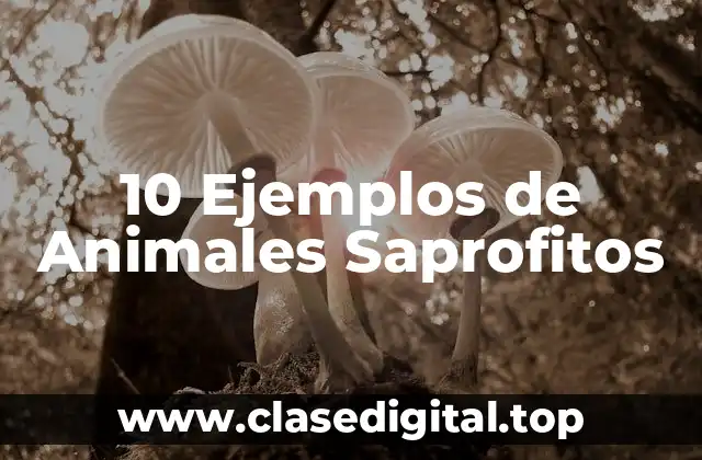 10 Ejemplos de Animales Saprofitos