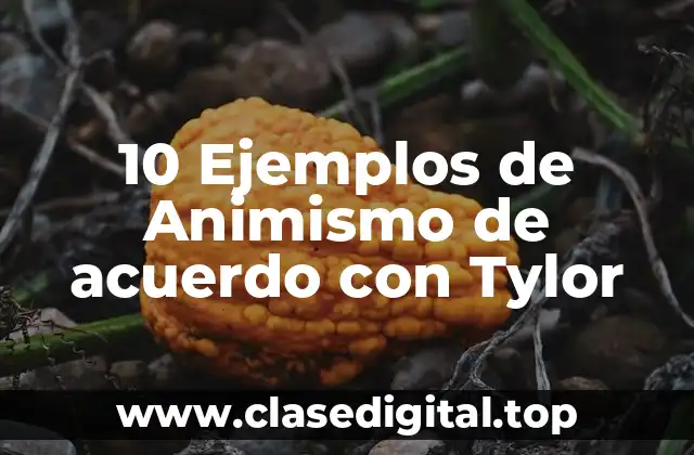 10 Ejemplos de Animismo de acuerdo con Tylor