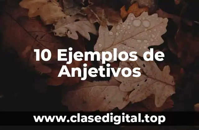 10 Ejemplos de Anjetivos