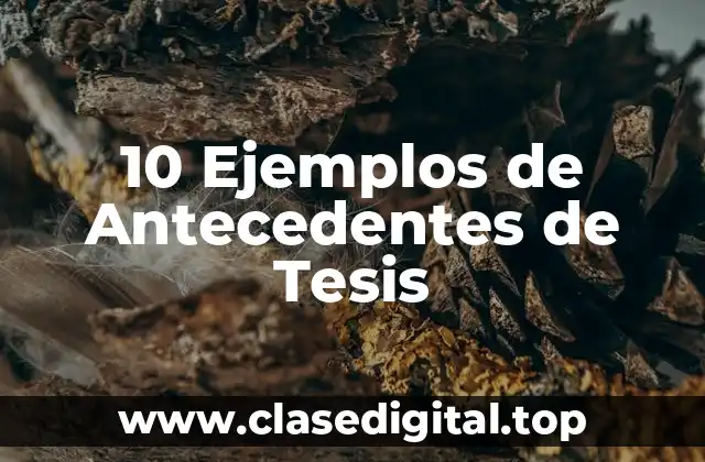 10 Ejemplos de Antecedentes de Tesis