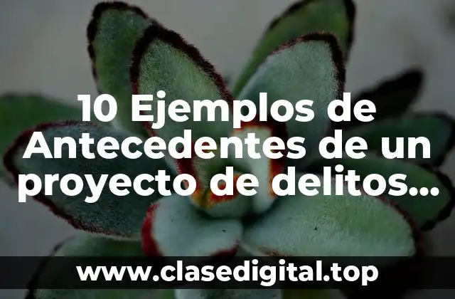 10 Ejemplos de Antecedentes de un proyecto de delitos informáticos
