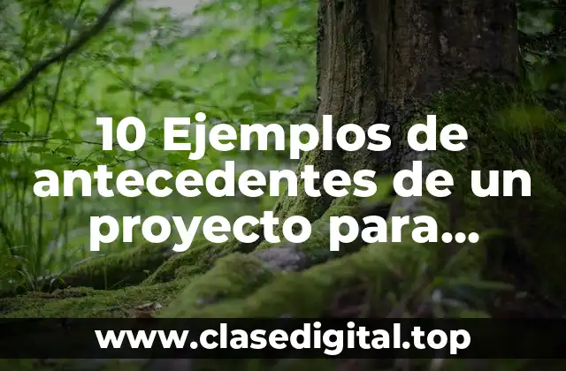 10 Ejemplos de antecedentes de un proyecto para adquirir radios portátiles