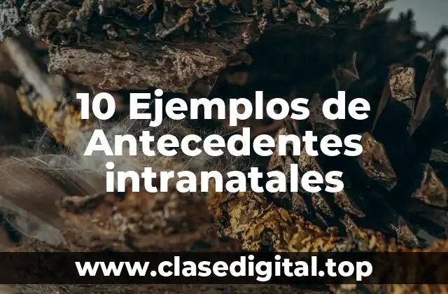 10 Ejemplos de Antecedentes intranatales