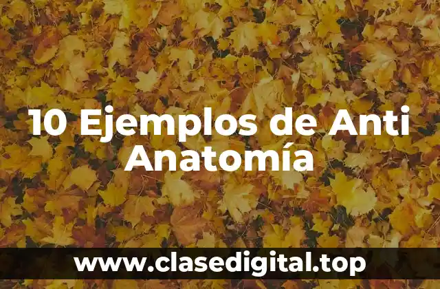 10 Ejemplos de Anti Anatomía