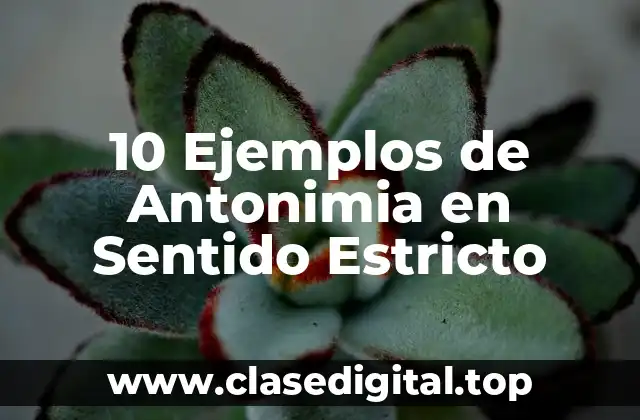 10 Ejemplos de Antonimia en Sentido Estricto