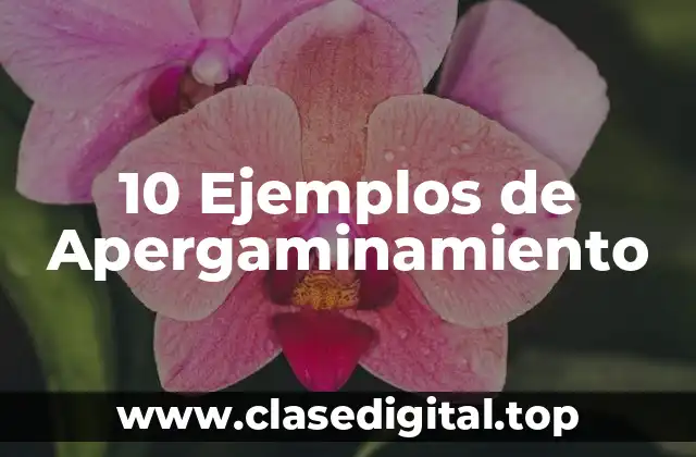 10 Ejemplos de Apergaminamiento