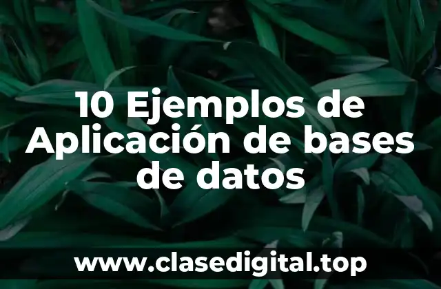 10 Ejemplos de Aplicación de bases de datos