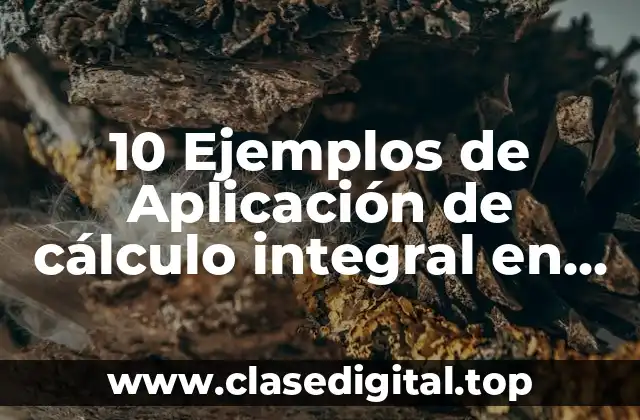 10 Ejemplos de Aplicación de cálculo integral en ingeniería industrial