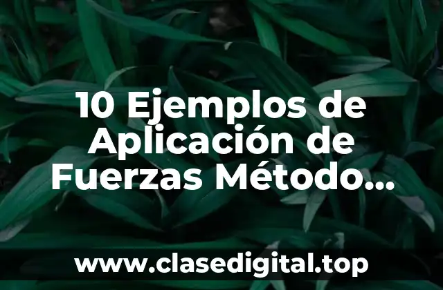 10 Ejemplos de Aplicación de Fuerzas Método Paralelogramo