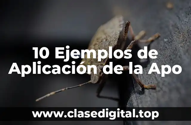 10 Ejemplos de Aplicación de la Apo