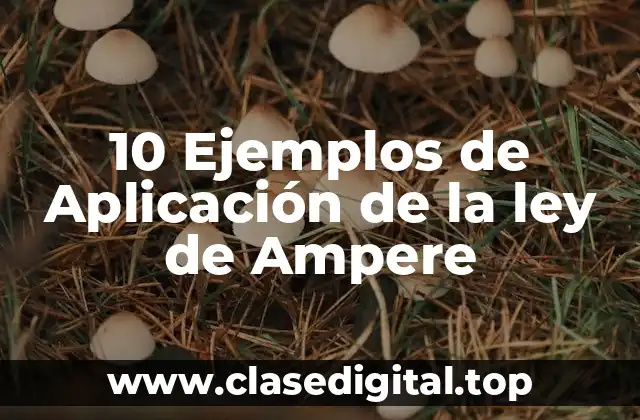 10 Ejemplos de Aplicación de la ley de Ampere