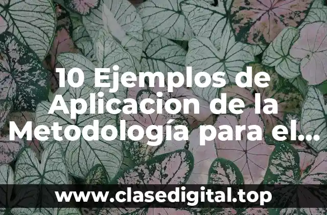 Ejemplos de Aplicación de la Metodología para el Desarrollo