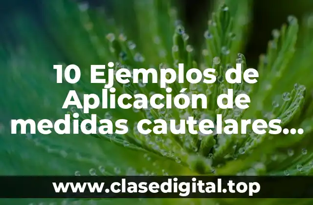 10 Ejemplos de Aplicación de medidas cautelares en materia penal