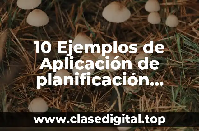 10 Ejemplos de Aplicación de planificación financiera