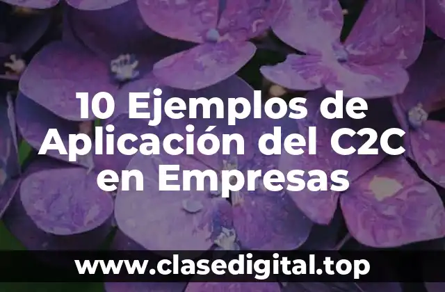 10 Ejemplos de Aplicación del C2C en Empresas