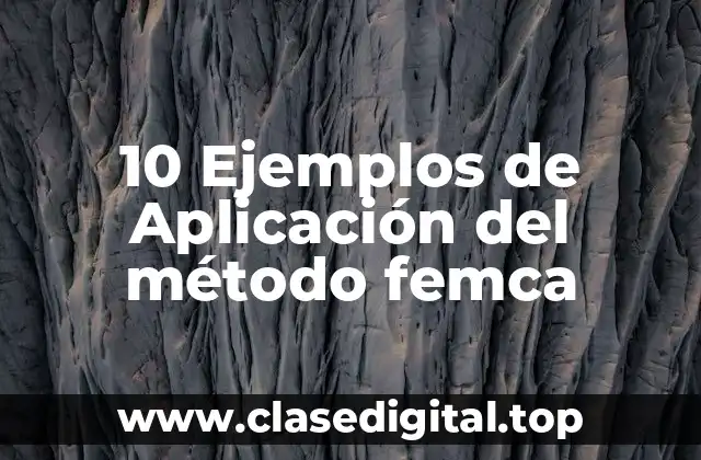 10 Ejemplos de Aplicación del método femca