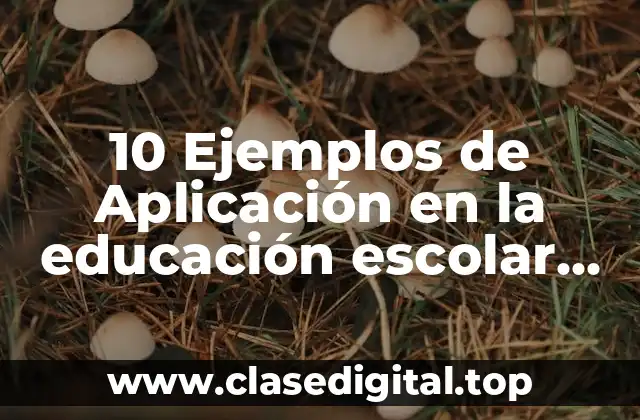 10 Ejemplos de Aplicación en la educación escolar Vygotsky