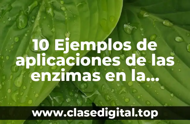 10 Ejemplos de aplicaciones de las enzimas en la industria alimentaria