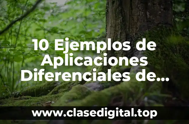 10 Ejemplos de Aplicaciones Diferenciales de Control de Nivel de Agua